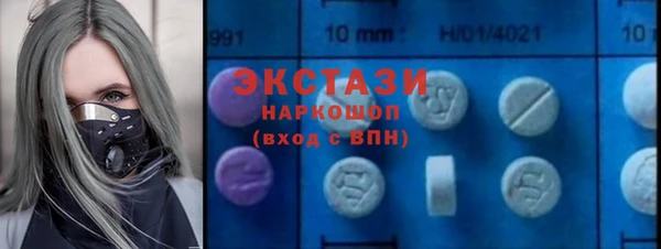 ECSTASY Богородицк